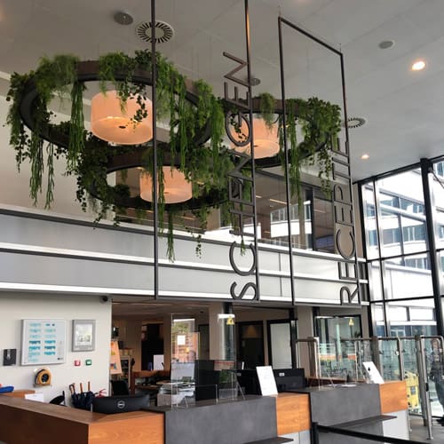 Creatieve kantoorbeplanting&concepten - Den Haag - Artiplant