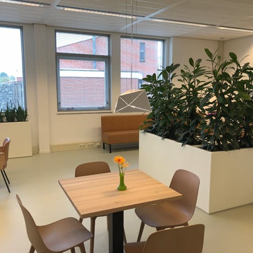 Waarom planten op kantoor? Artiplant